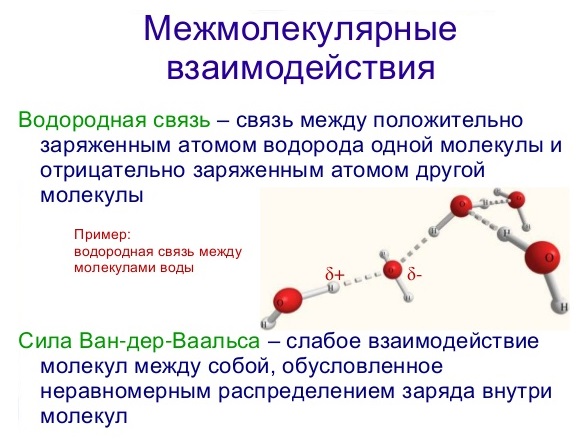 molekula_vody_obrazovana_polozhitelno_zaryazhennym_vodorodom_h_i_otritsatelno_zaryazhennym_gidroksilom_on.