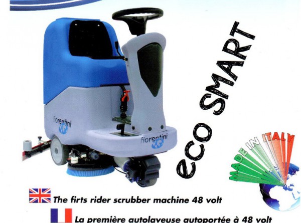 EcoSmart 55